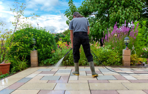 Best Fence Cleaning and Maintenance in Sandy Oaks, TX
