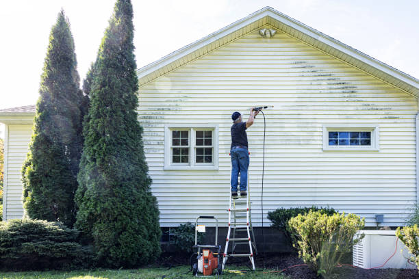 Best Gutter Cleaning and Brightening in Sandy Oaks, TX
